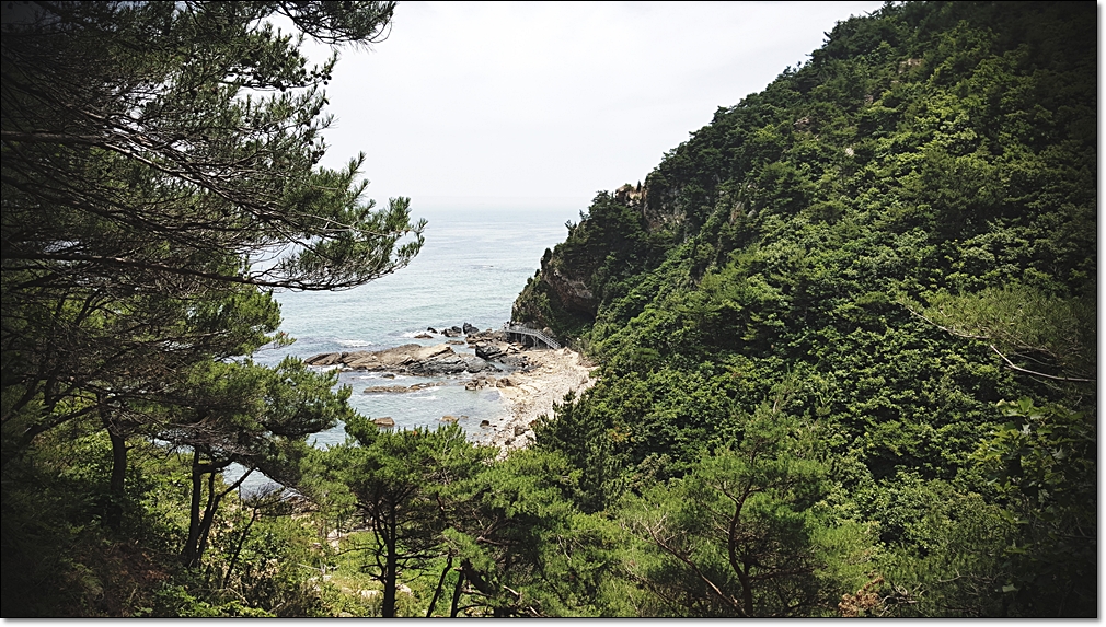 20180618_114109.jpg