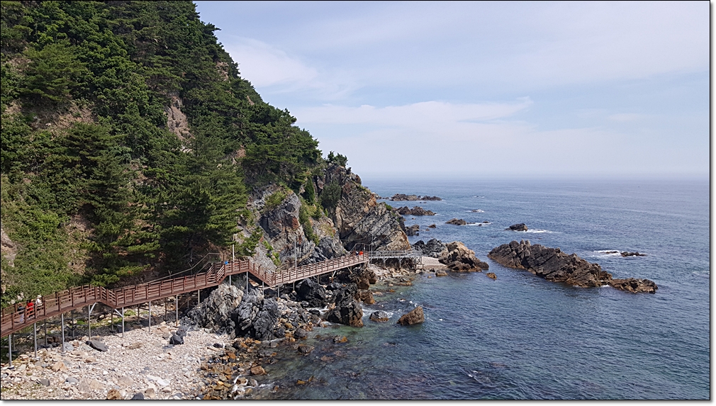 20180618_104729.jpg