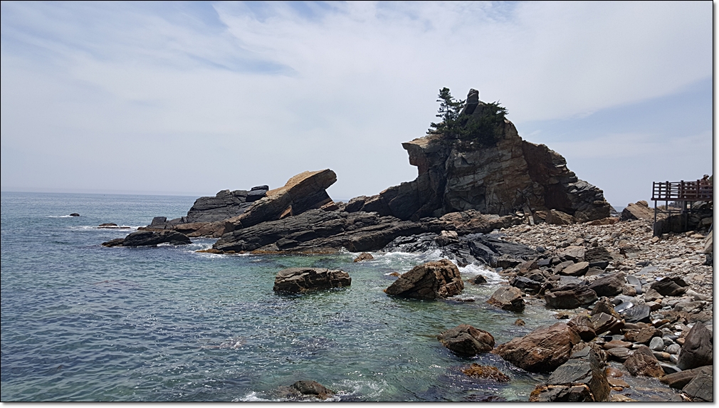 20180618_111711.jpg