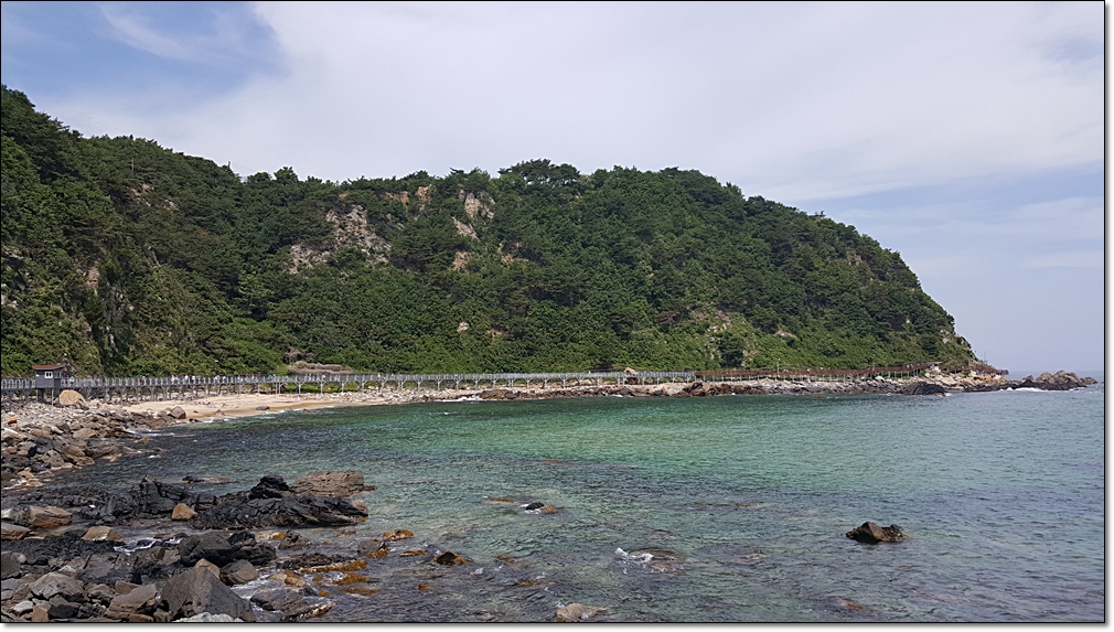 20180618_110016.jpg