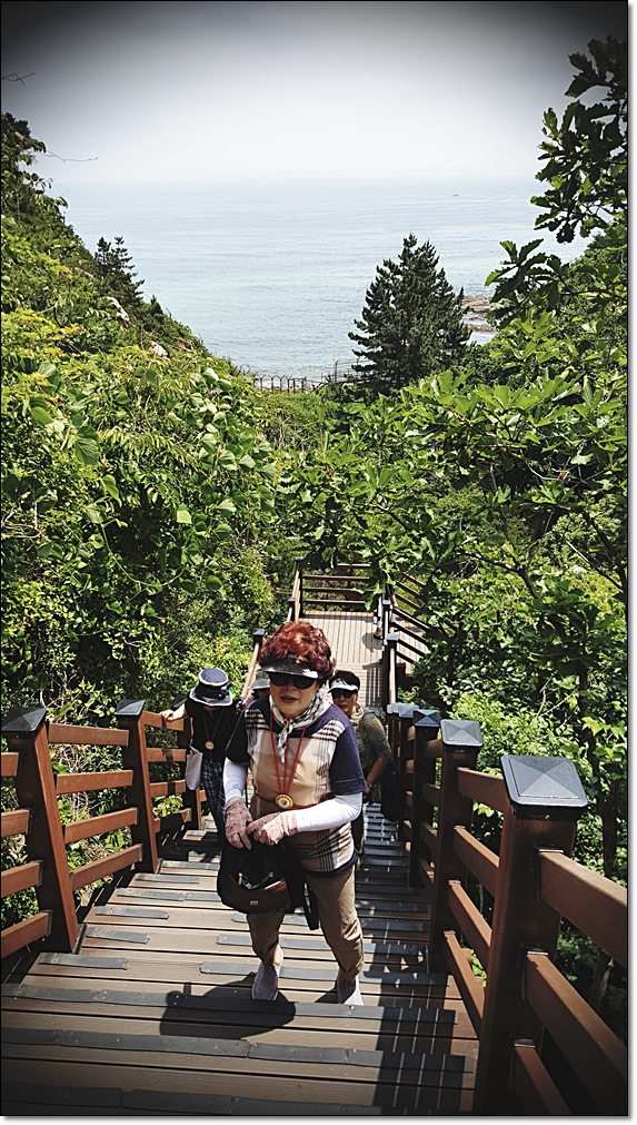 20180618_113814.jpg
