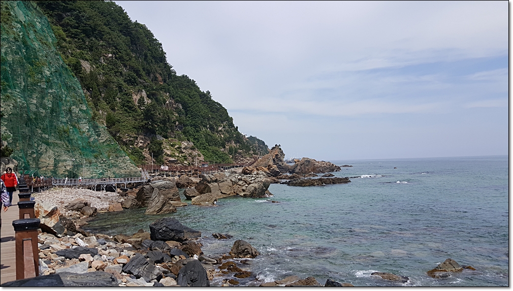 20180618_110954.jpg