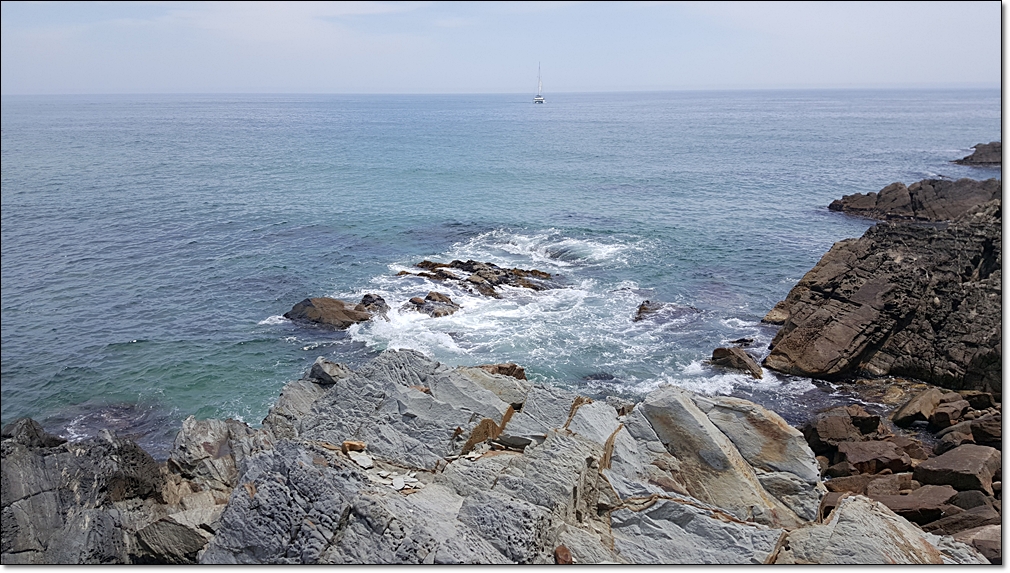 20180618_112052.jpg