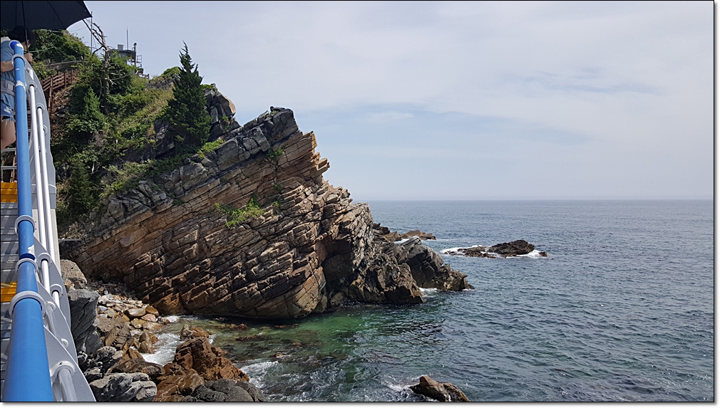 20180618_104443.jpg