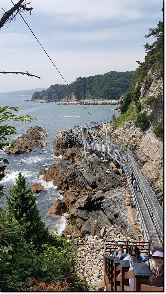 20180618_104630.jpg