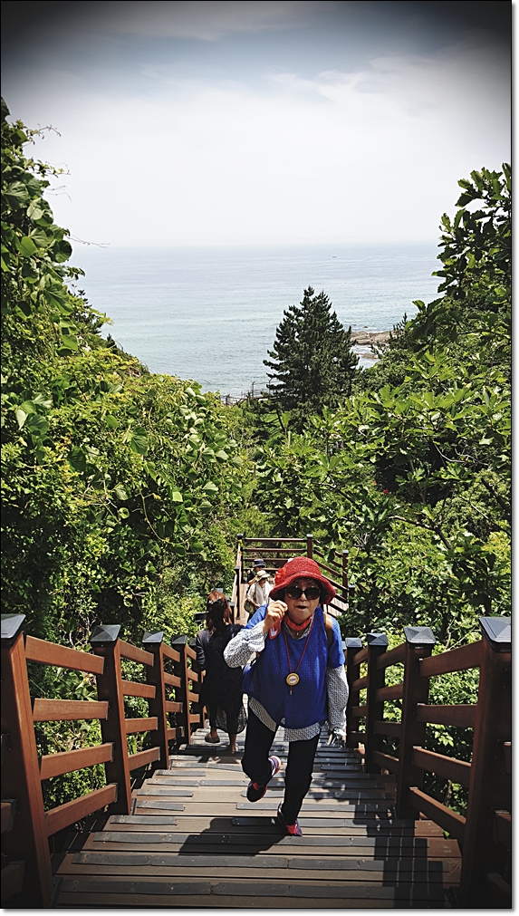 20180618_113739.jpg